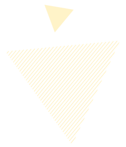 <span> Quang Ninh Pine </span> </br>Stock Company right d-none